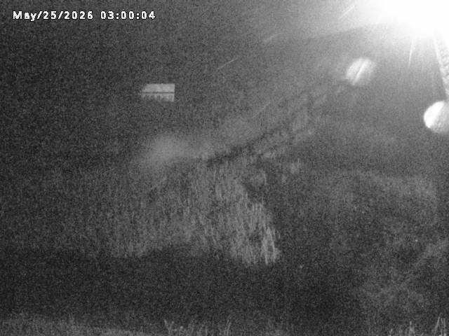 名和川１2026/05/25 21:40:00