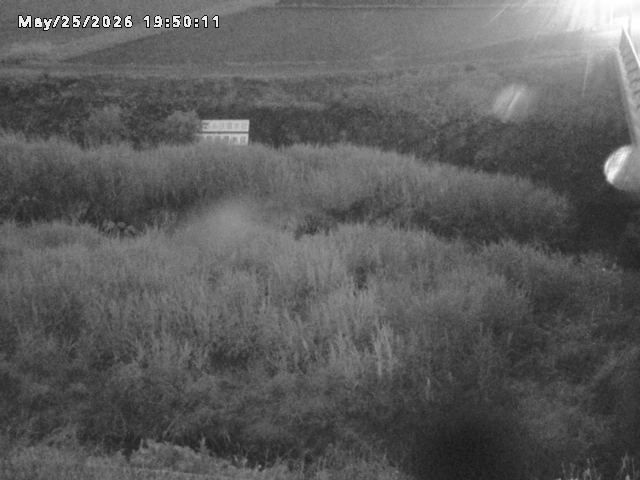 名和川１2026/05/25 21:40:00
