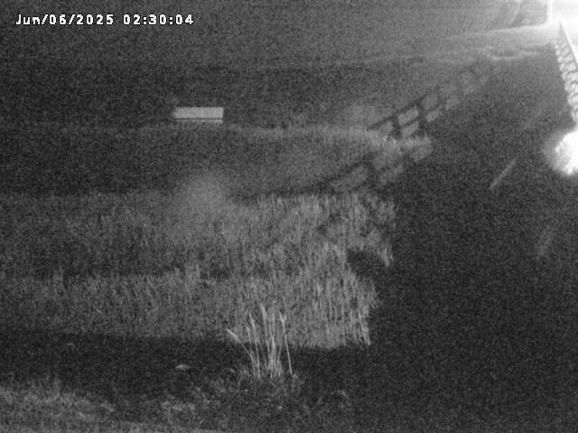 名和川１2025/06/06 3:20:00