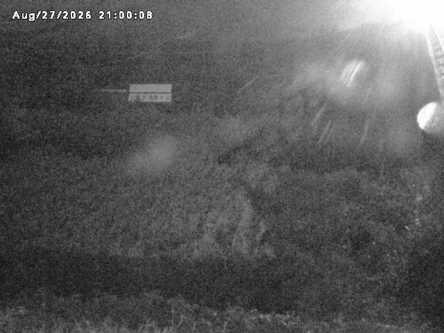 名和川１2026/08/28 17:00:00