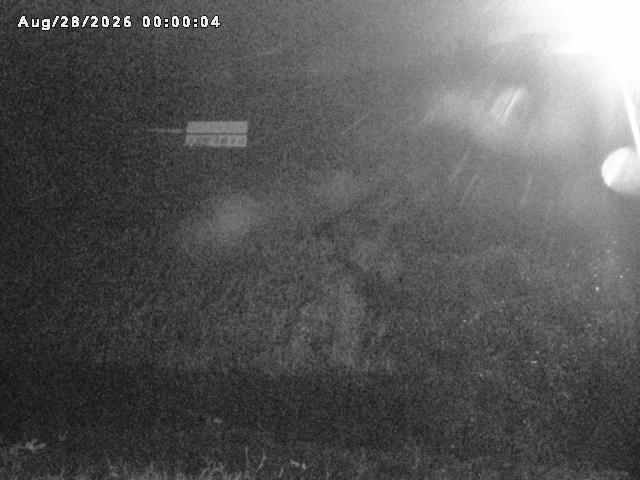 名和川１2026/08/28 17:00:00