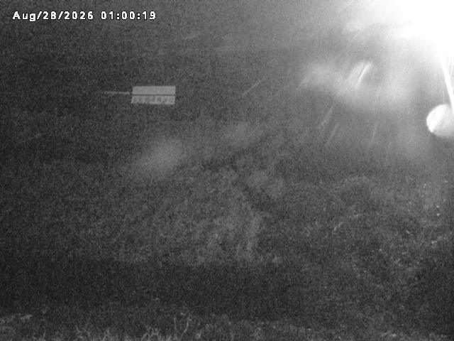 名和川１2026/08/28 17:00:00