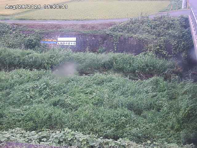 名和川１2026/08/28 17:00:00