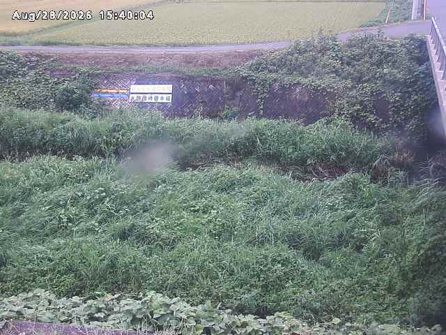 名和川１2026/08/28 17:00:00