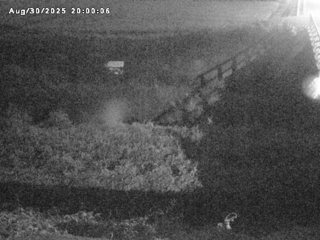 名和川１2025/08/31 9:10:00