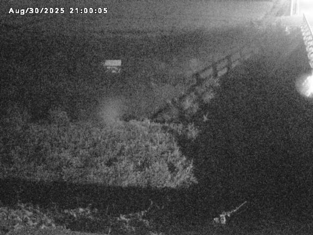 名和川１2025/08/31 9:10:00