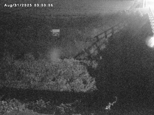 名和川１2025/08/31 9:10:00