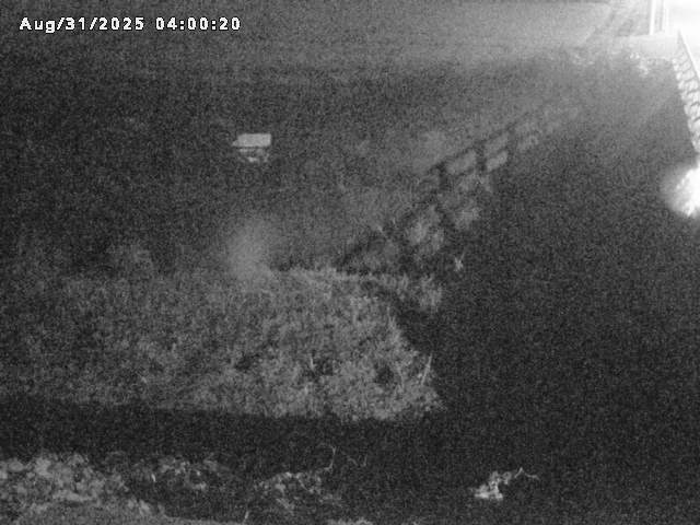 名和川１2025/08/31 9:10:00