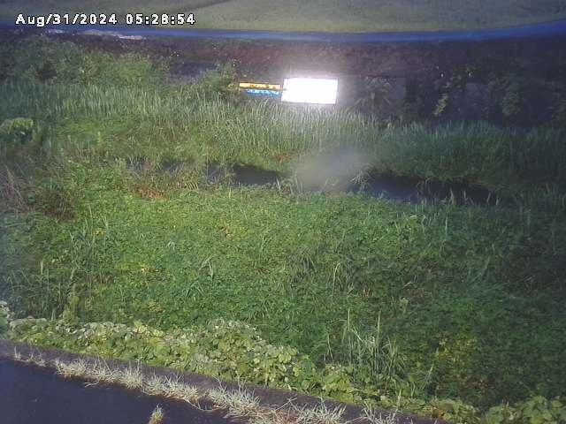 名和川１2025/08/31 9:10:00