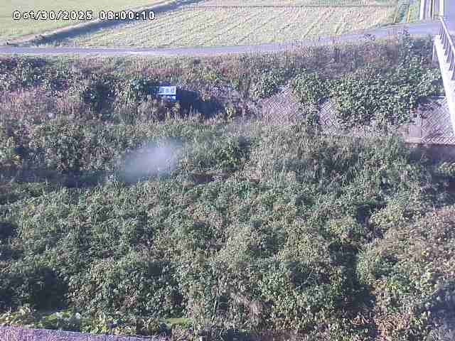 名和川12025/10/31 08:00