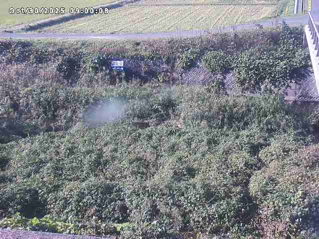 名和川12025/10/31 08:00