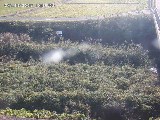 名和川12025/10/31 08:00