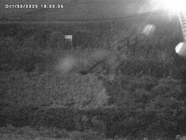 名和川12025/10/31 08:00