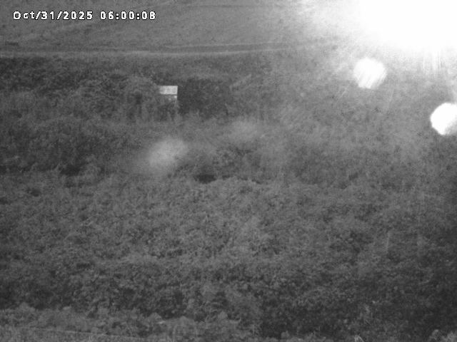 名和川12025/10/31 08:00