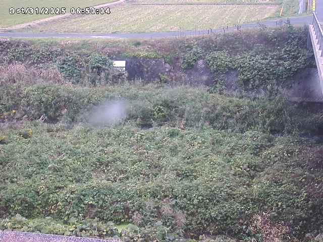 名和川12025/10/31 08:00