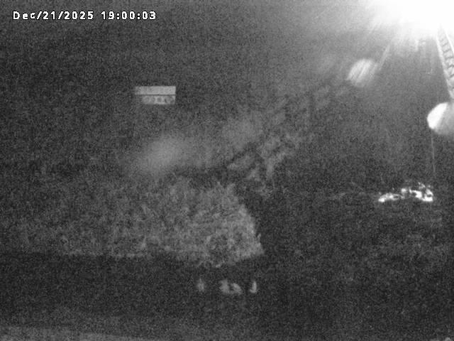 名和川１2025/12/22 0:50:00