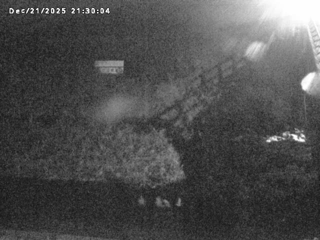 名和川１2025/12/22 0:50:00