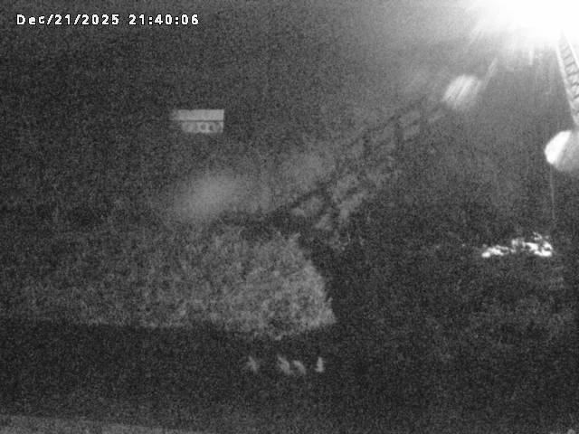 名和川１2025/12/22 0:50:00