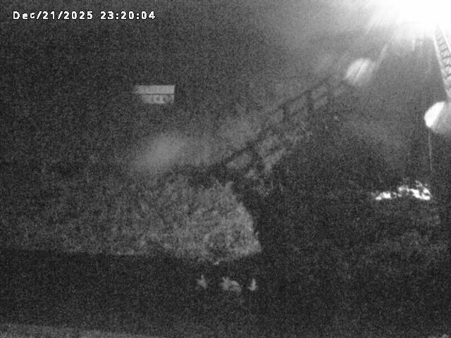 名和川１2025/12/22 0:50:00