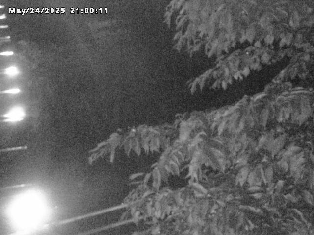 小松谷川２2026/05/25 21:40:00