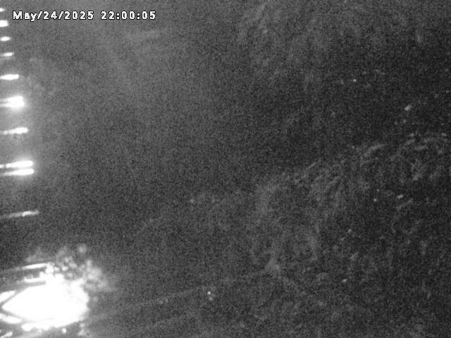 小松谷川２2026/05/25 21:40:00