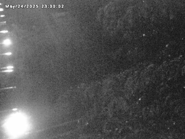 小松谷川２2026/05/25 21:40:00