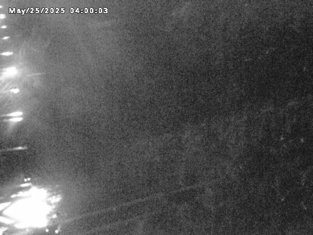 小松谷川２2026/05/25 21:40:00