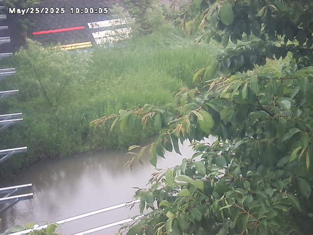 小松谷川２2026/05/25 21:40:00
