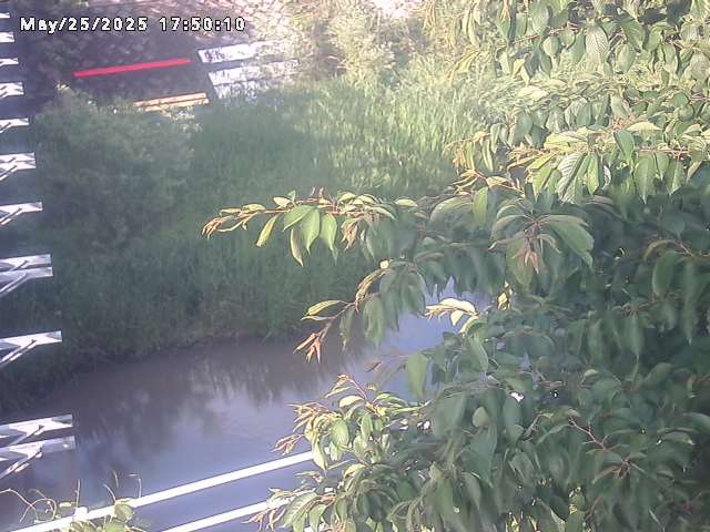 小松谷川２2026/05/25 21:40:00