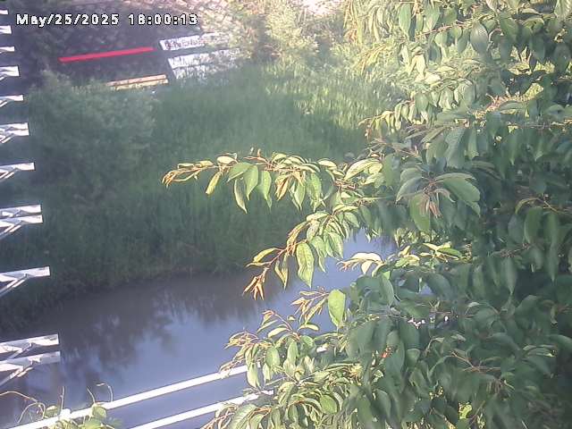 小松谷川２2026/05/25 21:40:00