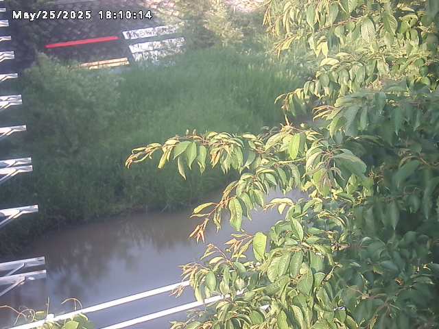 小松谷川２2026/05/25 21:40:00