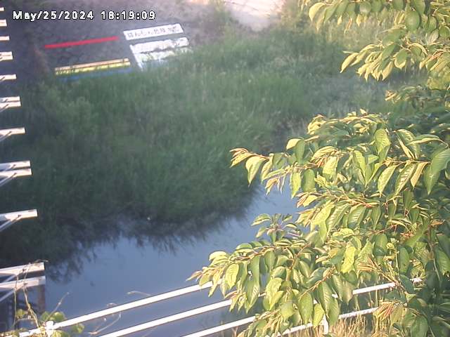 小松谷川２2026/05/25 21:40:00