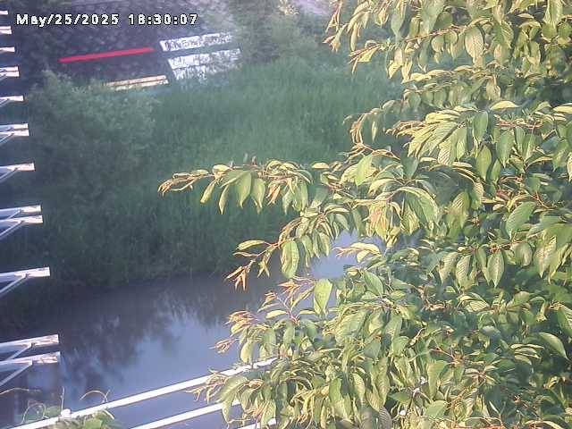 小松谷川２2026/05/25 21:40:00