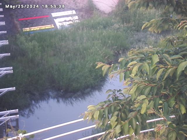 小松谷川２2026/05/25 21:40:00