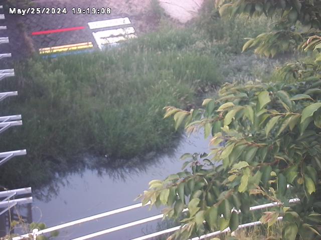 小松谷川２2026/05/25 21:40:00