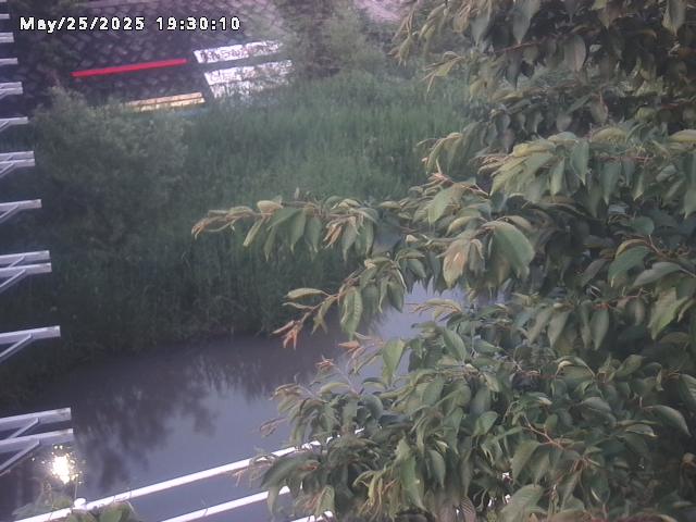 小松谷川２2026/05/25 21:40:00