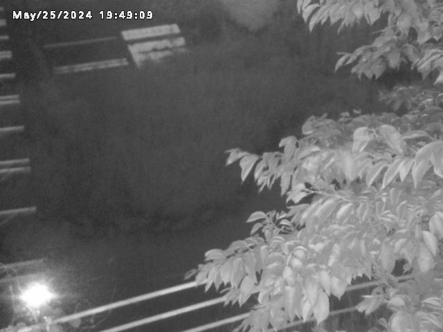 小松谷川２2026/05/25 21:40:00