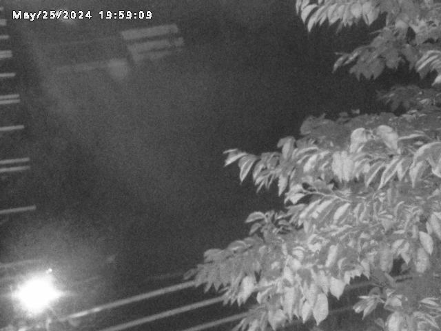 小松谷川２2026/05/25 21:40:00