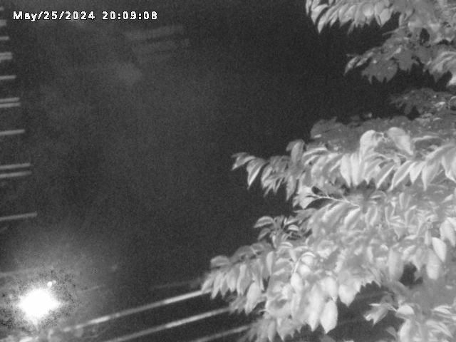 小松谷川２2026/05/25 21:40:00