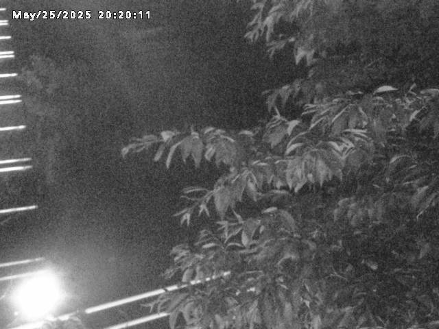 小松谷川２2026/05/25 21:40:00