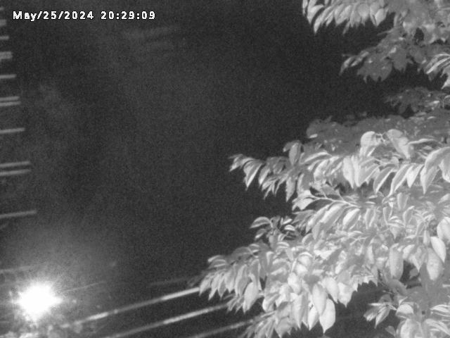 小松谷川２2026/05/25 21:40:00