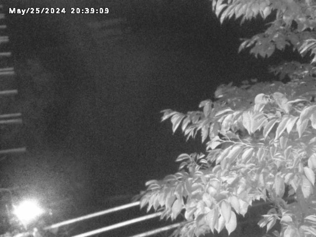 小松谷川２2026/05/25 21:40:00