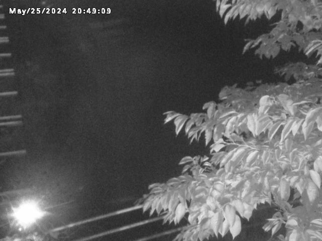 小松谷川２2026/05/25 21:40:00