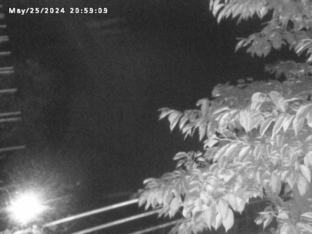 小松谷川２2026/05/25 21:40:00