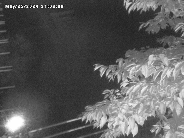小松谷川２2026/05/25 21:40:00