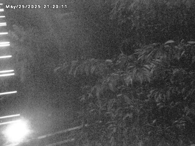 小松谷川２2026/05/25 21:40:00