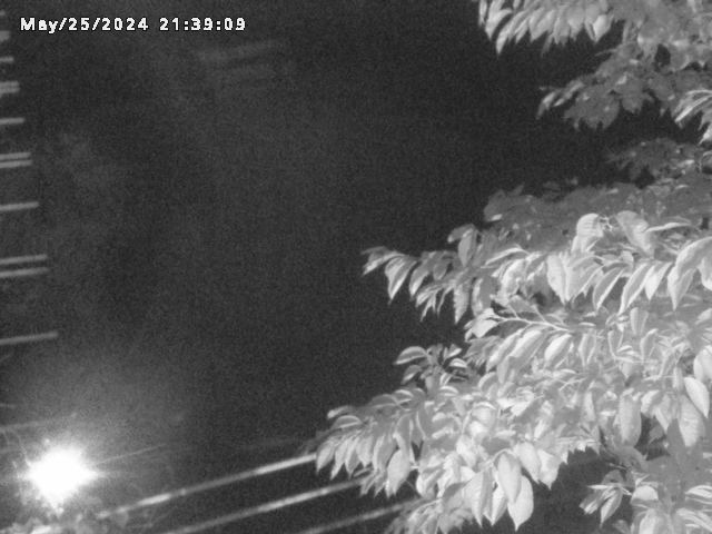 小松谷川２2026/05/25 21:40:00