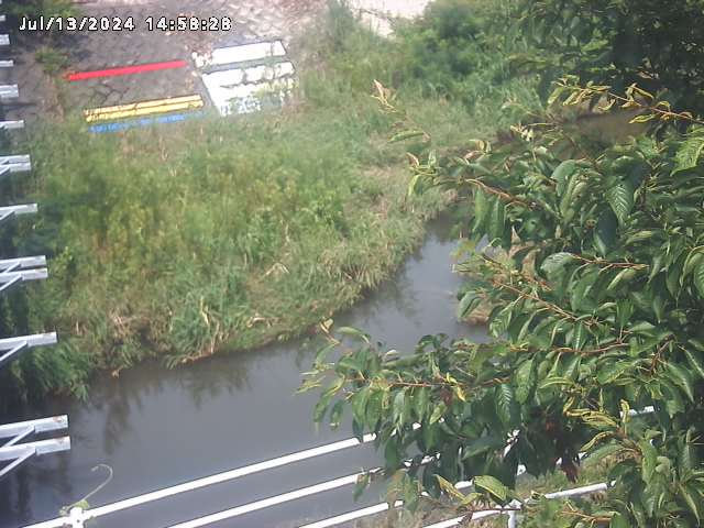 小松谷川２2026/07/14 15:20:00