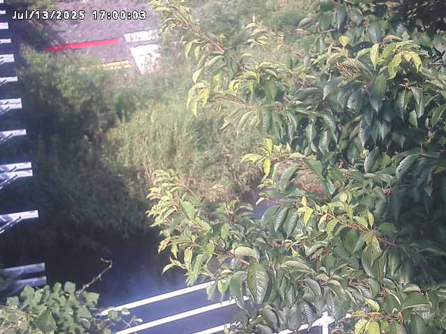 小松谷川２2026/07/14 15:20:00