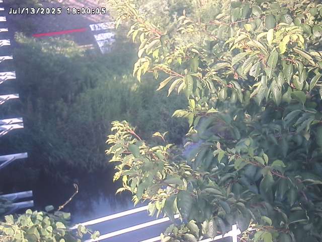 小松谷川２2026/07/14 15:20:00